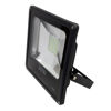 Imagen de Foco De Led 30w Con Sensor De Movimiento (bn182)