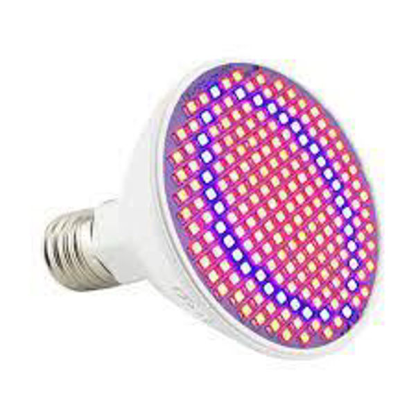 Imagen de BOMBITA EFECTO LUCES 200 LEDS ZWD200