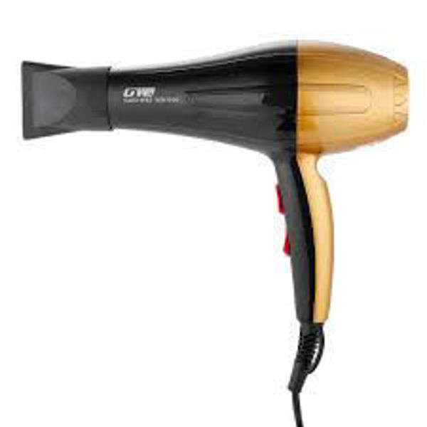Imagen de SECADOR DE PELO FRIO Y CALOR   300W -GW690-DORADO